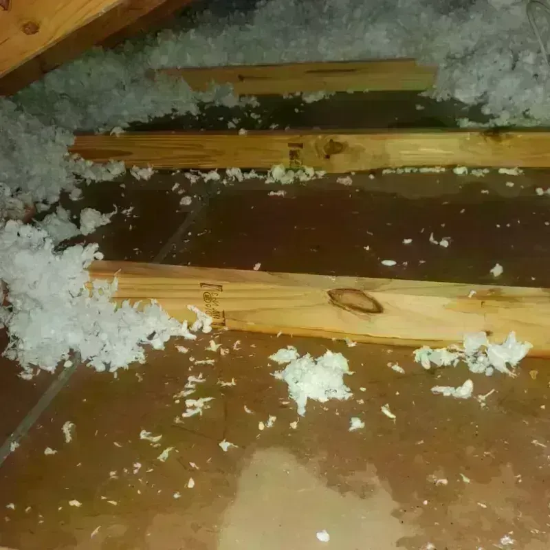 Attic Water Damage in London, CA